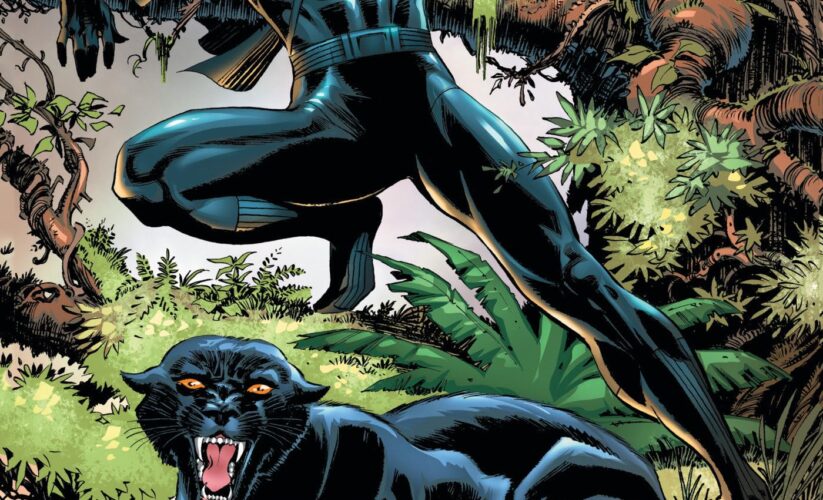 Practical Guide to Black Panther Comics: Explore the Latest Issues in 2025