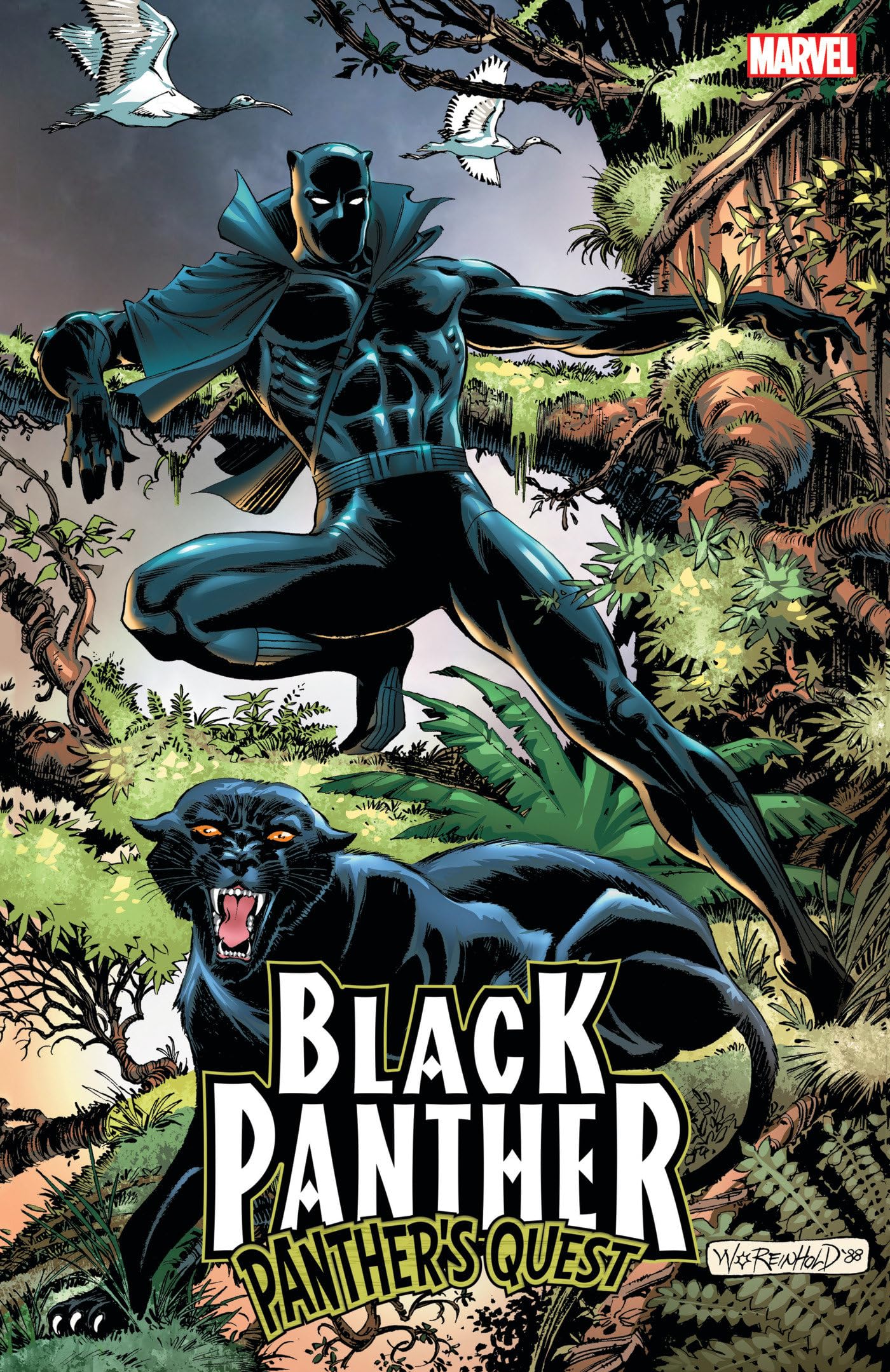 Practical Guide to Black Panther Comics: Explore the Latest Issues in 2025